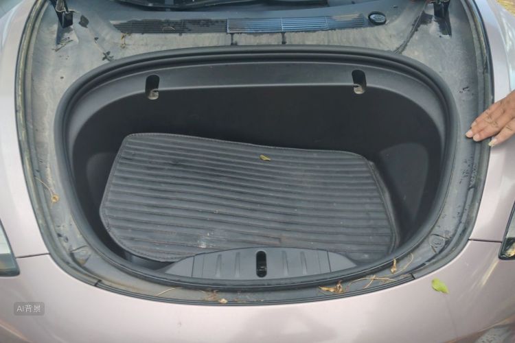 Tesla Model 3 2020 immagine di auto #22