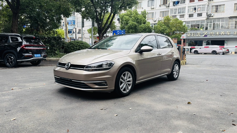 Volkswagen Golf 2019 Volkswagen Golf 2019 car image