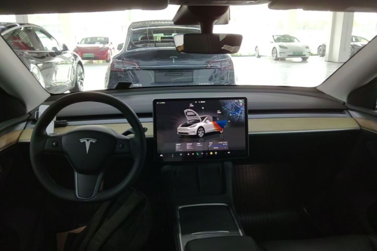Tesla Model Y 2023 car image #10