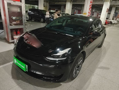 Tesla Model 3 2021 Tesla Model 3 2021 immagine di auto