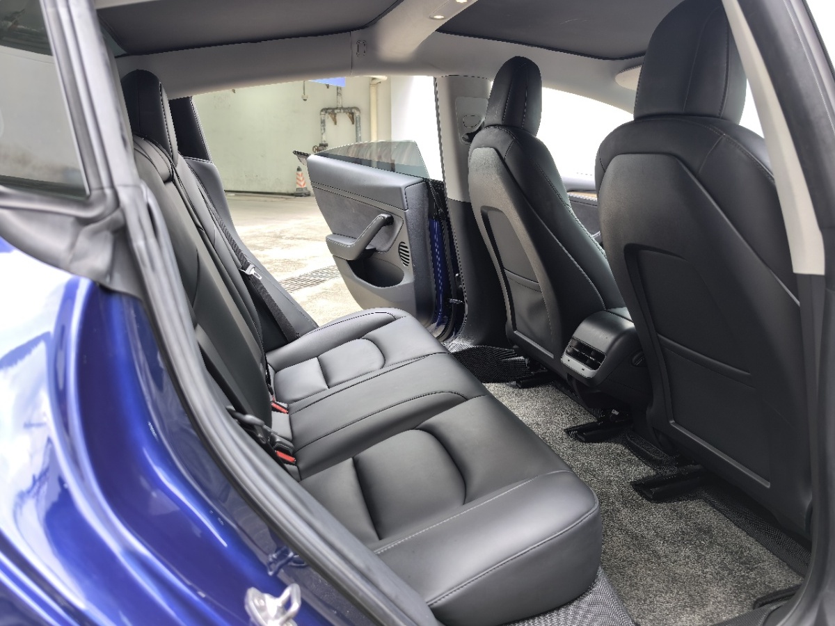 Tesla Model 3 2021 car image #8