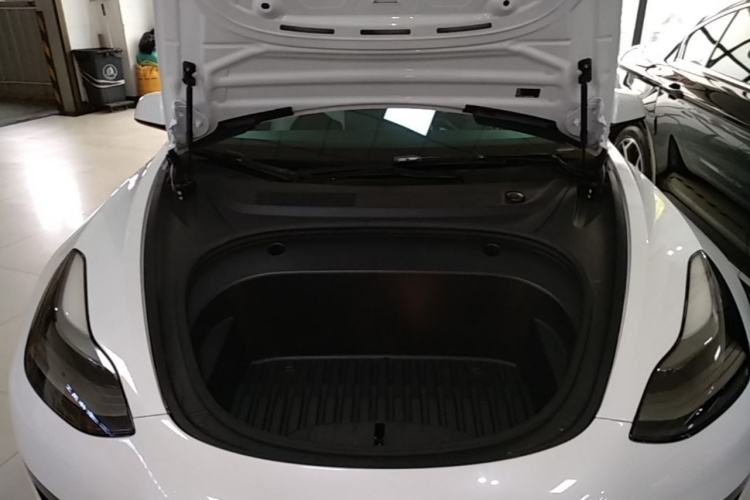 Tesla Model 3 2021 #20 Tesla Model 3 2021 car image #20