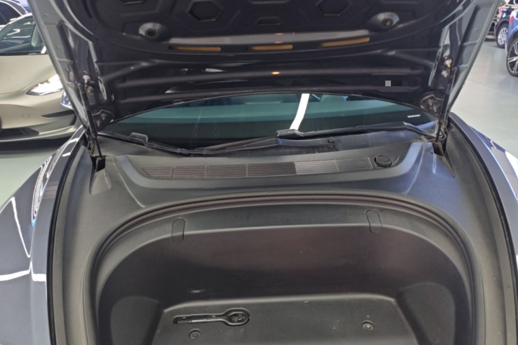 Tesla Model 3 2020 car image #20