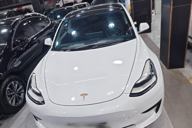 Tesla Model 3 2020 #3 Tesla Model 3 2020 car image #3