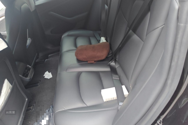 Tesla Model 3 2021 immagine di auto #19