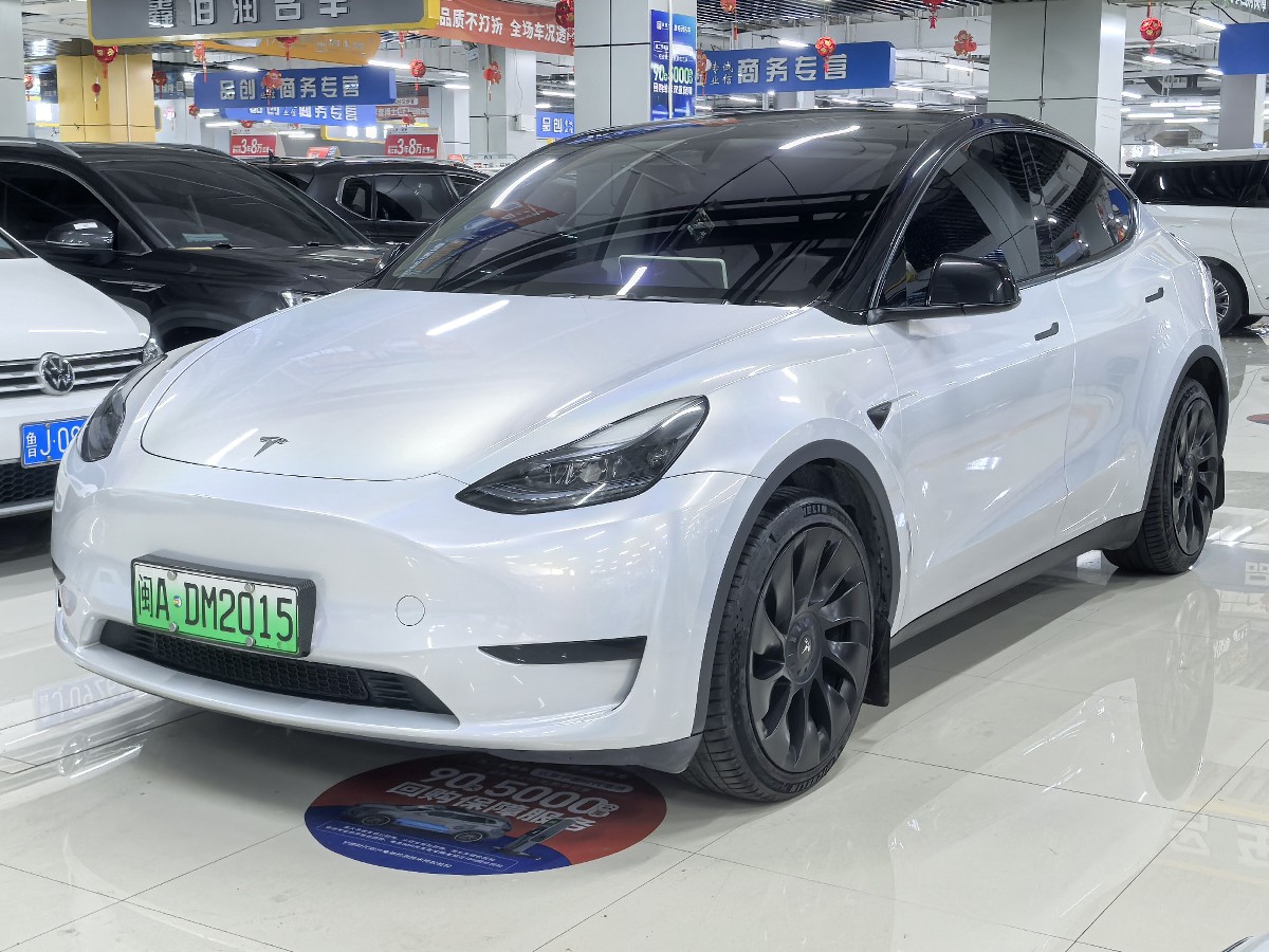 Tesla Model Y 2024 car image 
