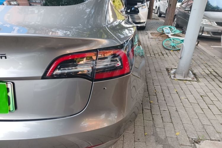 Tesla Model 3 2021 car image #8