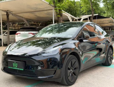 Tesla Model Y 2024 Tesla Model Y 2024 car image