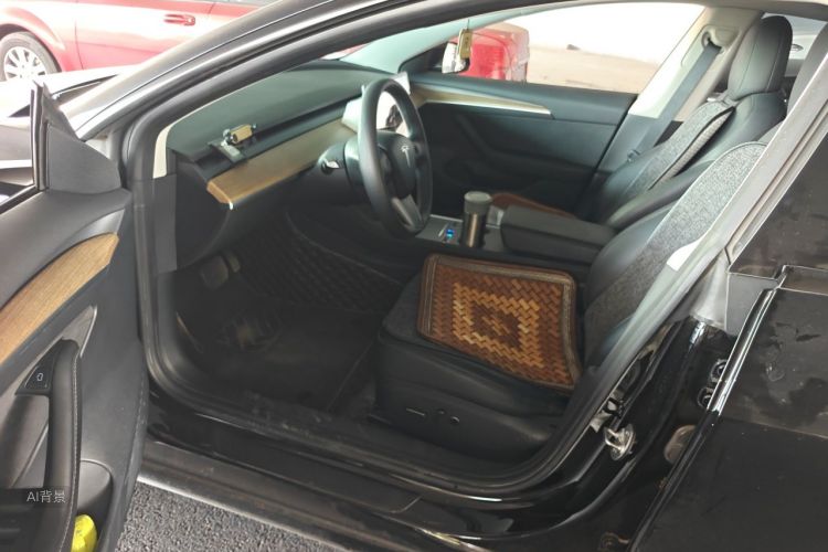 Tesla Model 3 2023 car image #18