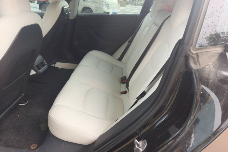 Tesla Model 3 2022 #17 Tesla Model 3 2022 car image #17