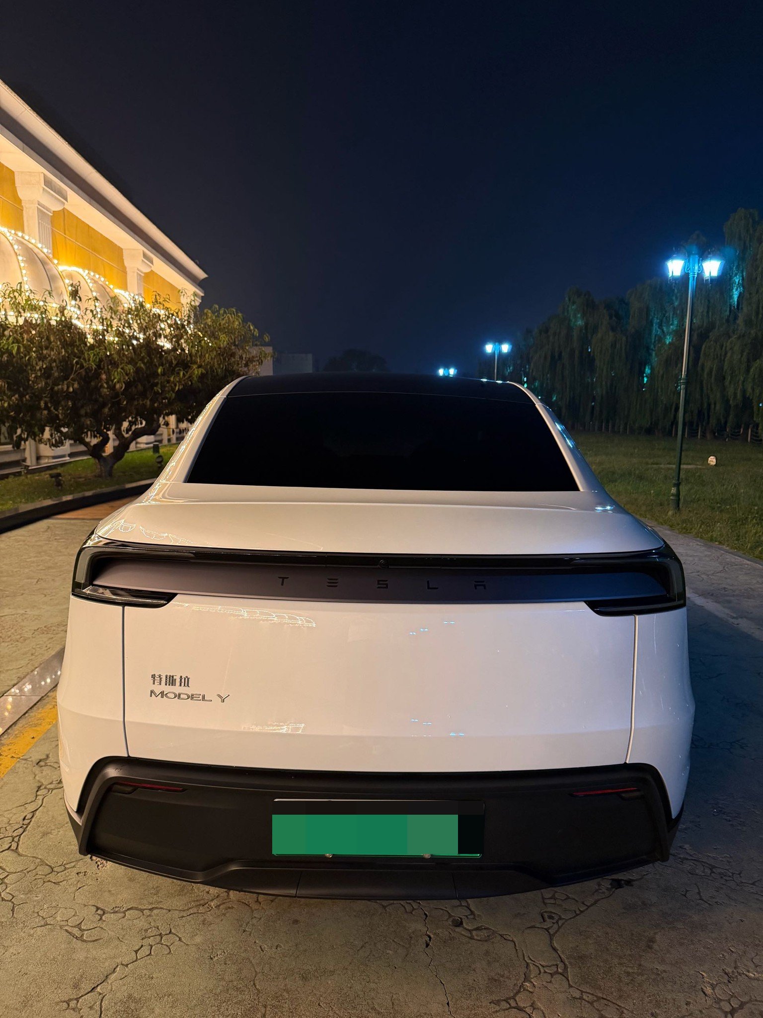Tesla Model Y 2025 immagine di auto #6