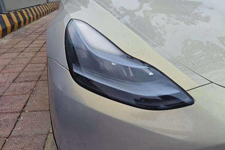 Tesla Model Y 2021 car image #8