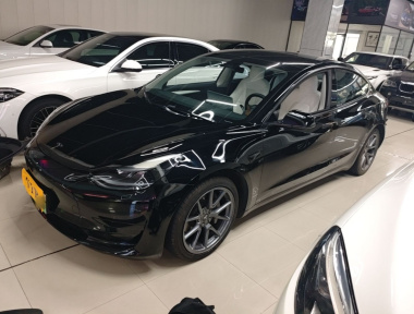 Tesla Model 3 2022 car image 