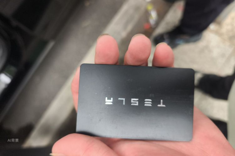 Tesla Model Y 2022 car image #10