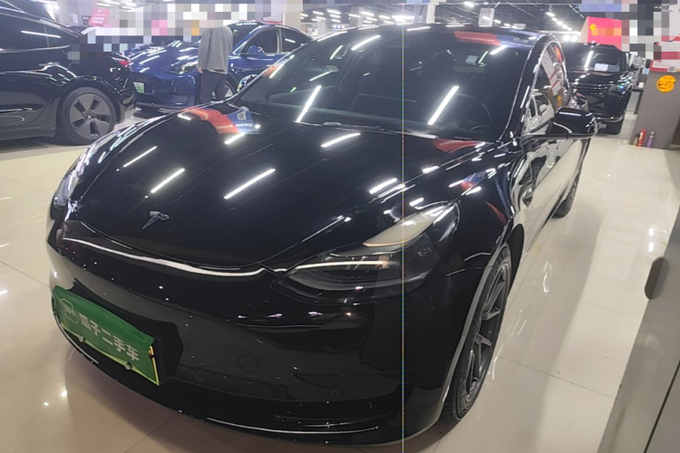 Tesla Model 3 2021 immagine di auto #2