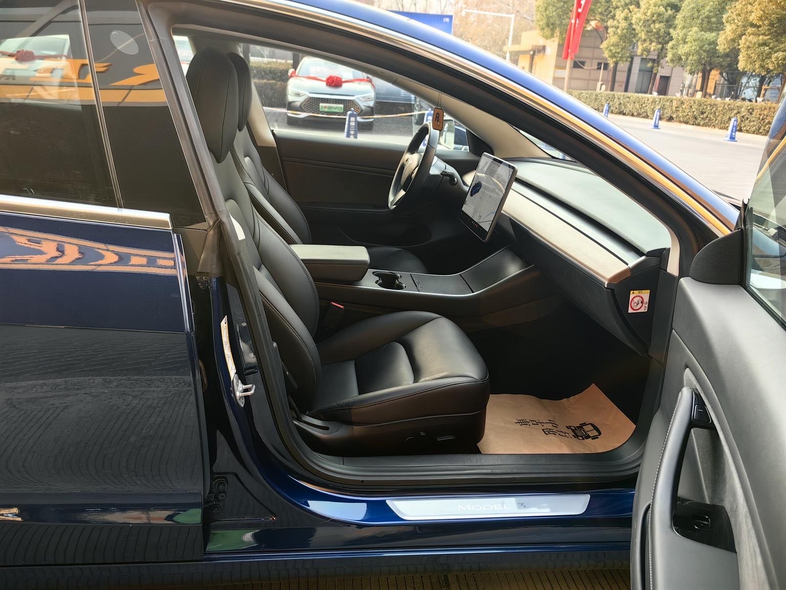 Tesla Model 3 2020 imagen de coche #16