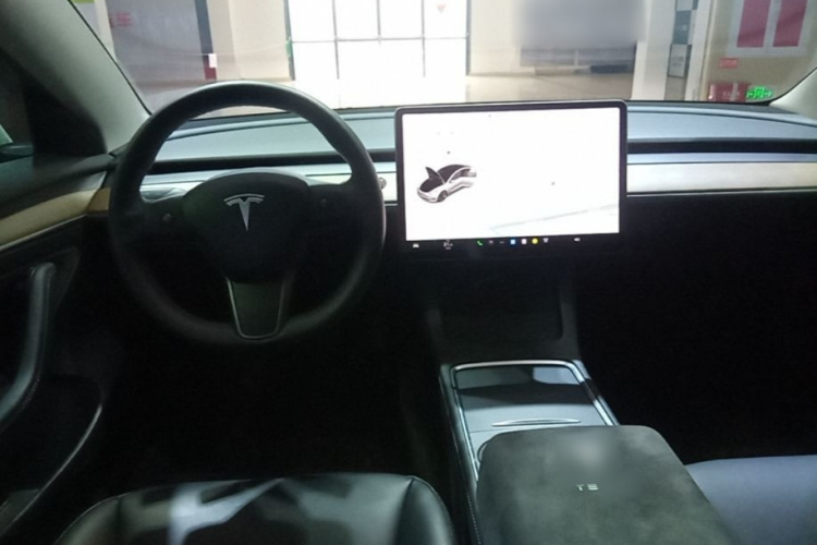 Tesla Model 3 2021 car image #10