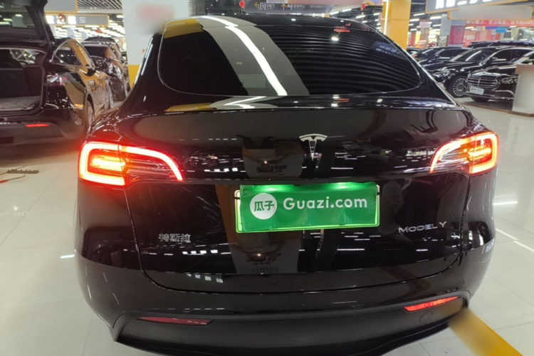 Tesla Model Y 2021 car image #6