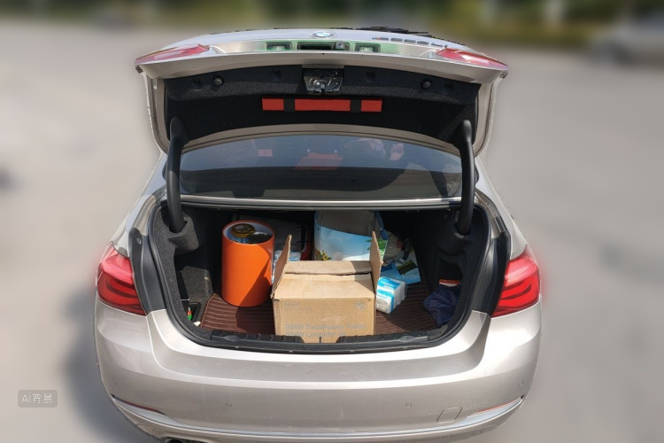 BMW 3 Series 2019 car image #21