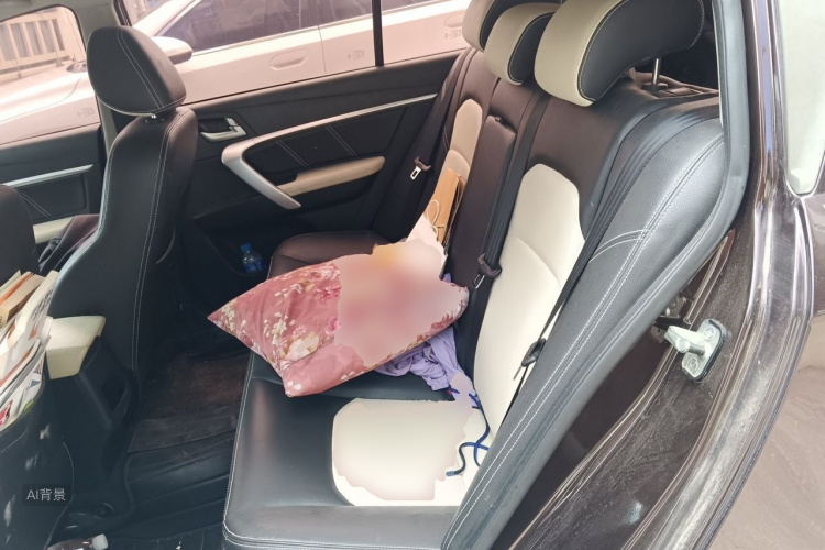 GEELY Emgrand 2016 car image #19