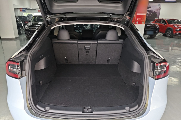 Tesla Model Y 2022 car image #19