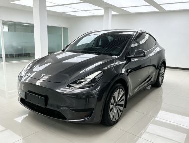 Tesla Model Y 2024 car image 