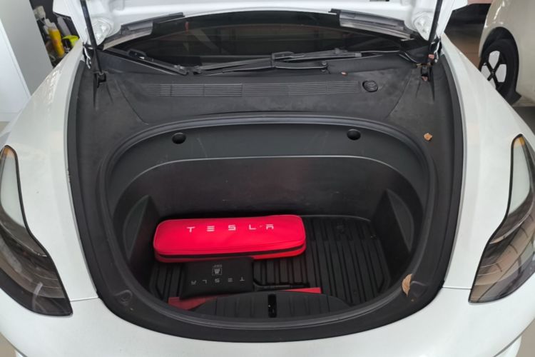 Tesla Model 3 2021 car image #20