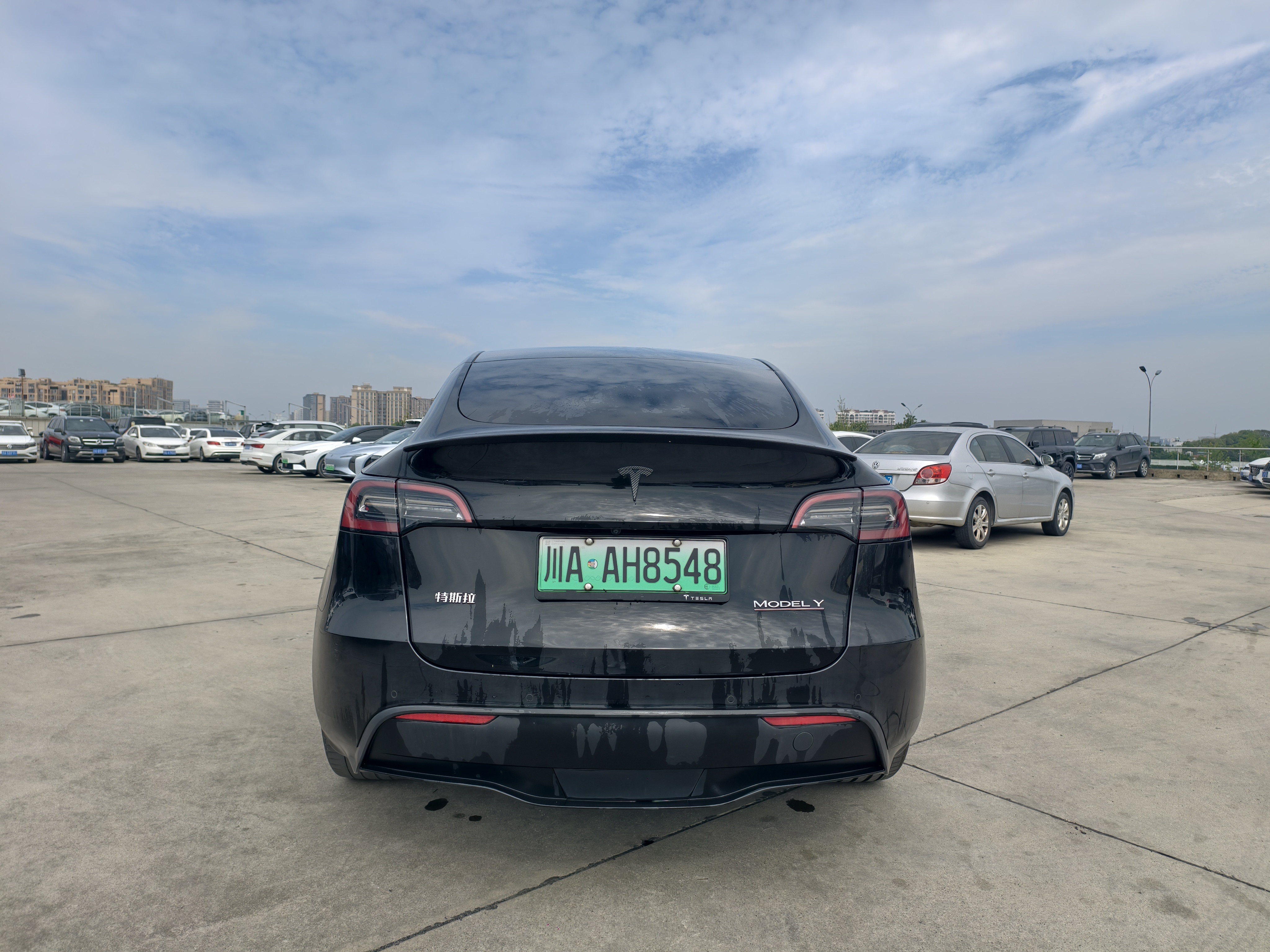 Tesla Model Y 2023 #8 Tesla Model Y 2023 car image #8