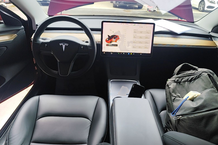 Tesla Model 3 2021 car image #10