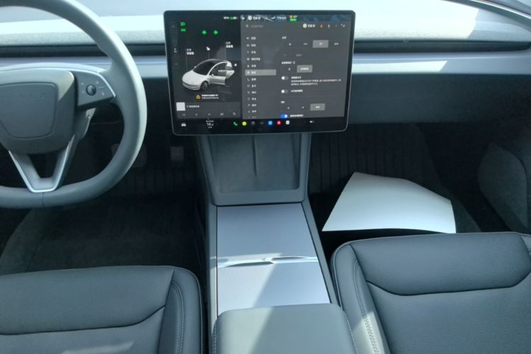 Tesla Model 3 2024 car image #20