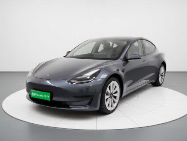 Tesla Model 3 2021 Tesla Model 3 2021 car image
