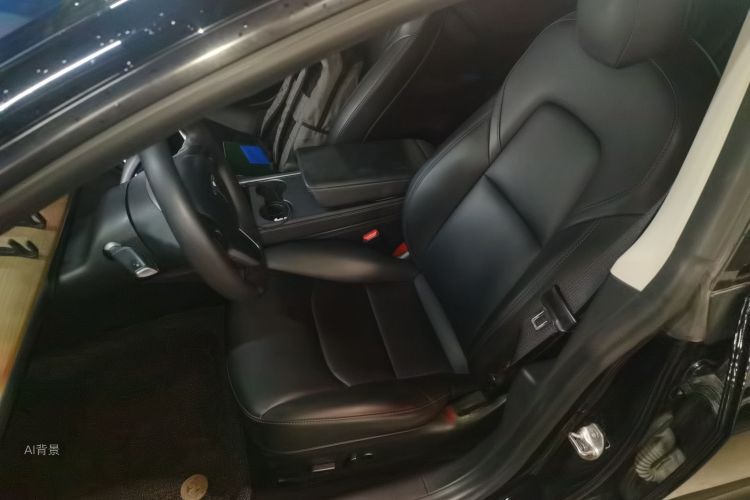 Tesla Model 3 2021 car image #17