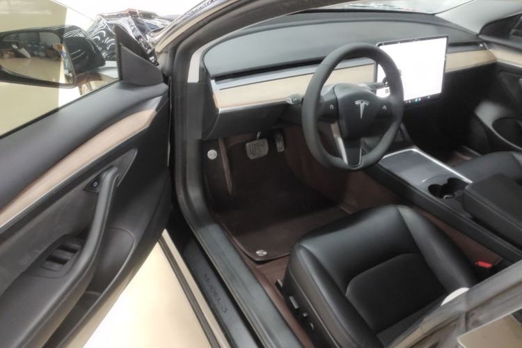 Tesla Model 3 2021 immagine di auto #12