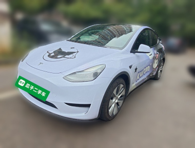 Tesla Model Y 2022 Tesla Model Y 2022 car image