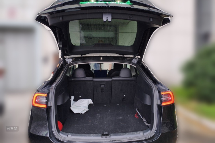 Tesla Model Y 2021 #21 Tesla Model Y 2021 car image #21