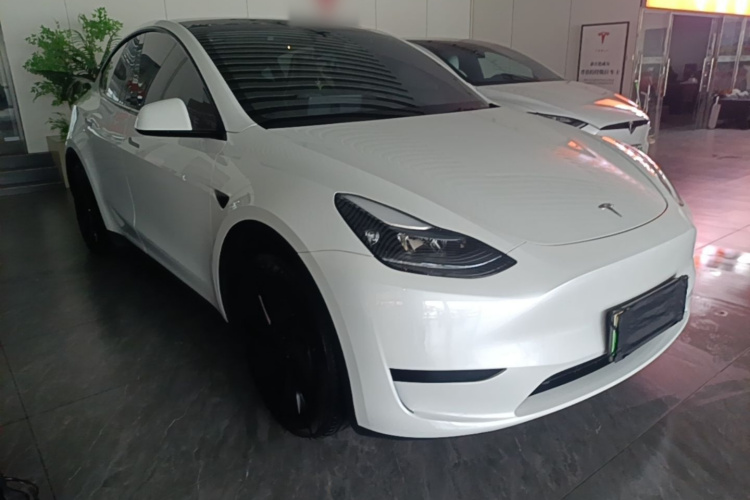 Tesla Model Y 2024 immagine di auto #4