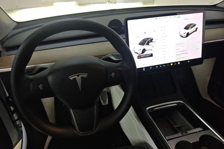 Tesla Model Y 2021 #14 Tesla Model Y 2021 car image #14