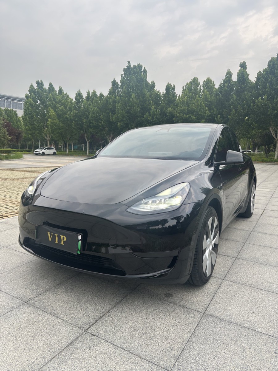 Tesla Model Y 2022 car image 
