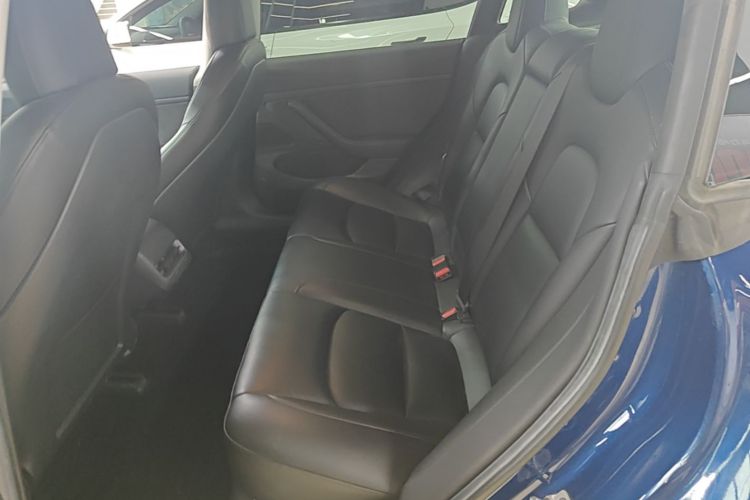 Tesla Model 3 2020 car image #17