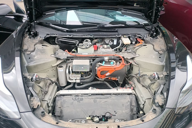 Tesla Model 3 2022 immagine di auto #22