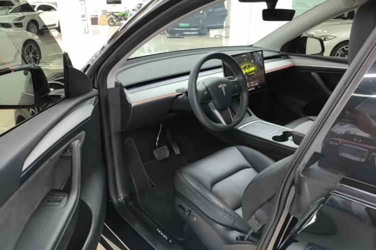 Tesla Model Y 2023 car image #16