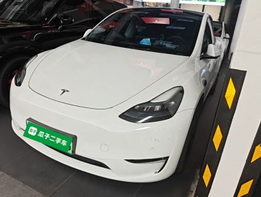 Tesla Model Y 2023 Tesla Model Y 2023 car image