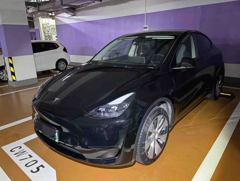 Tesla Model Y 2023 Tesla Model Y 2023 car image