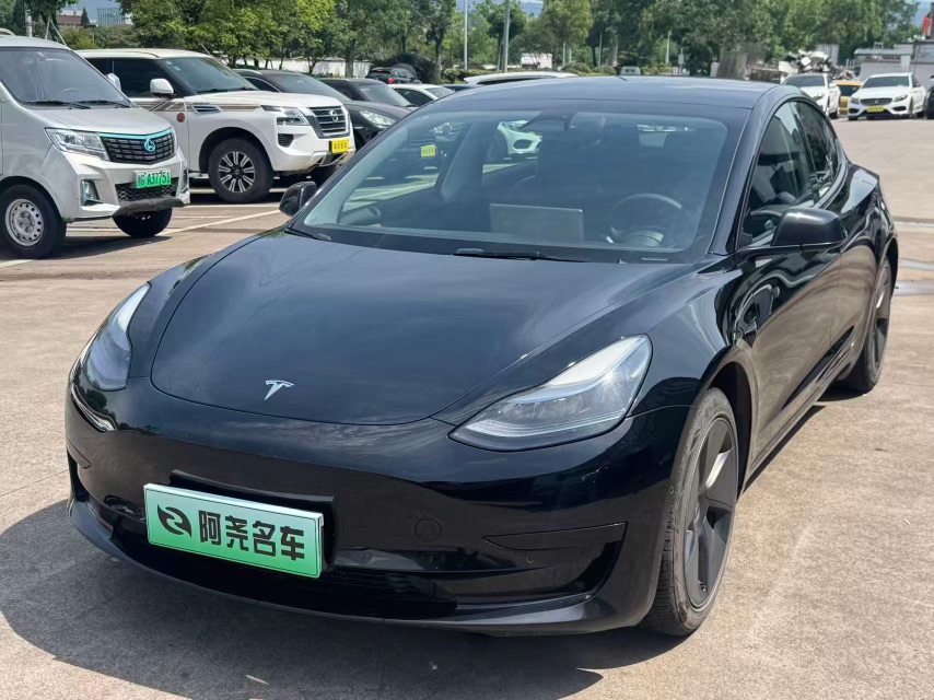 Tesla Model 3 2021 immagine di auto 