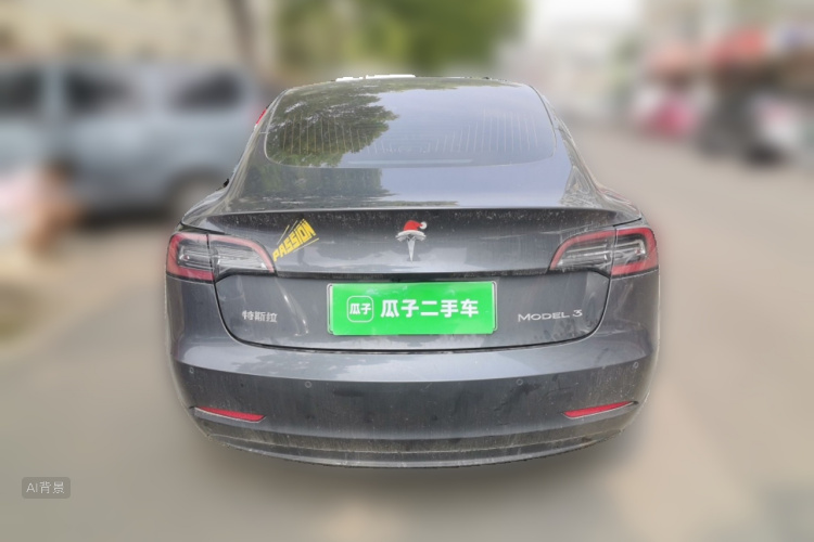 Tesla Model 3 2020 car image #6