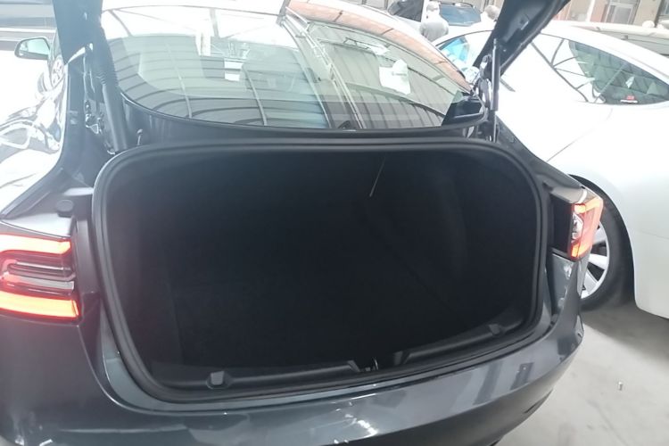 Tesla Model 3 2021 #19 Tesla Model 3 2021 immagine di auto #19