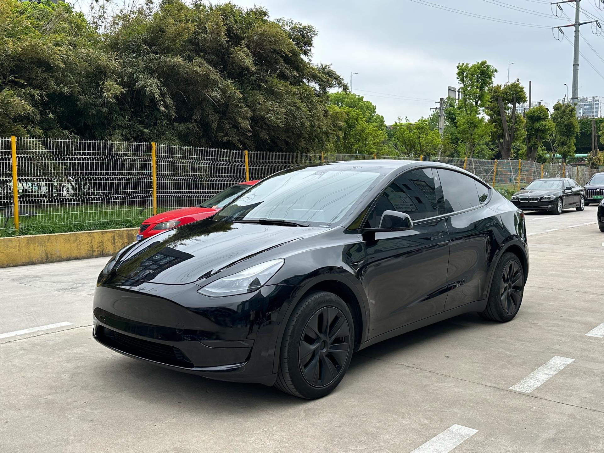 Tesla Model Y 2023 car image 