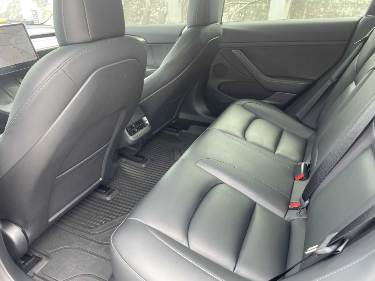 Tesla Model 3 2021 #8 Tesla Model 3 2021 car image #8