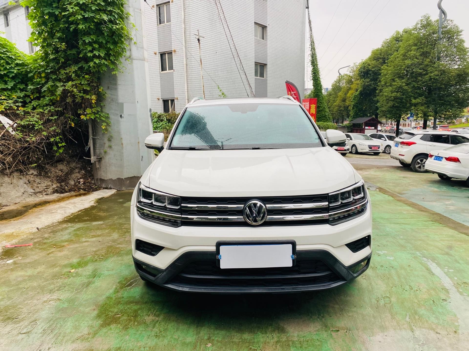 2019 #12 2019 car image #12