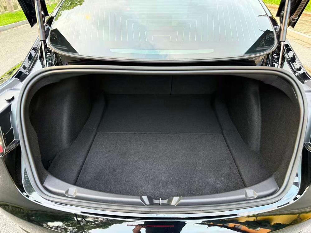 Tesla Model 3 2020 car image #20